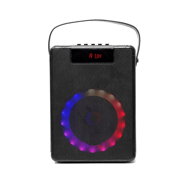 Easy-Carry 8 Inch Portable Bluetooth Rechargeable Speaker With RGB Ring Lights 