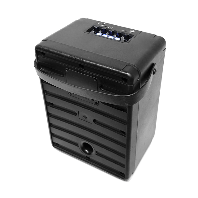 Easy-Carry 8 Inch Portable Bluetooth Rechargeable Speaker