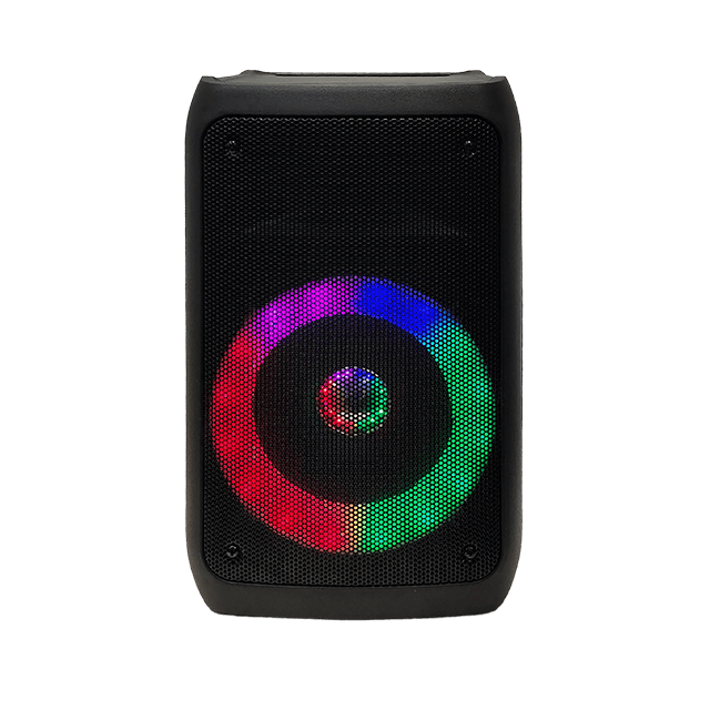 8 Inch Bluetooth Rechargeable Speaker With RGB Flashing Light