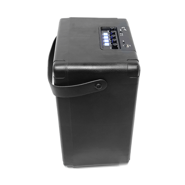 Easy-Carry 8 Inch Portable Bluetooth Rechargeable Speaker