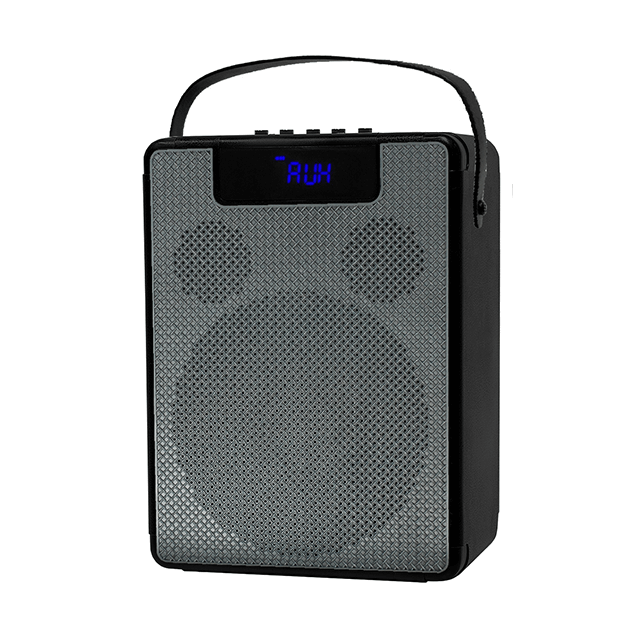 Easy-Carry 8 Inch Portable Bluetooth Rechargeable Speaker
