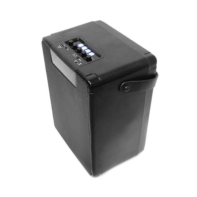 Easy-Carry 8 Inch Portable Bluetooth Rechargeable Speaker With RGB Ring Lights 