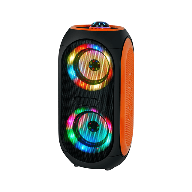 Dual 4 Inch Private Mould Portable Rechargeable Wireless Speaker With RGB Ring Light 