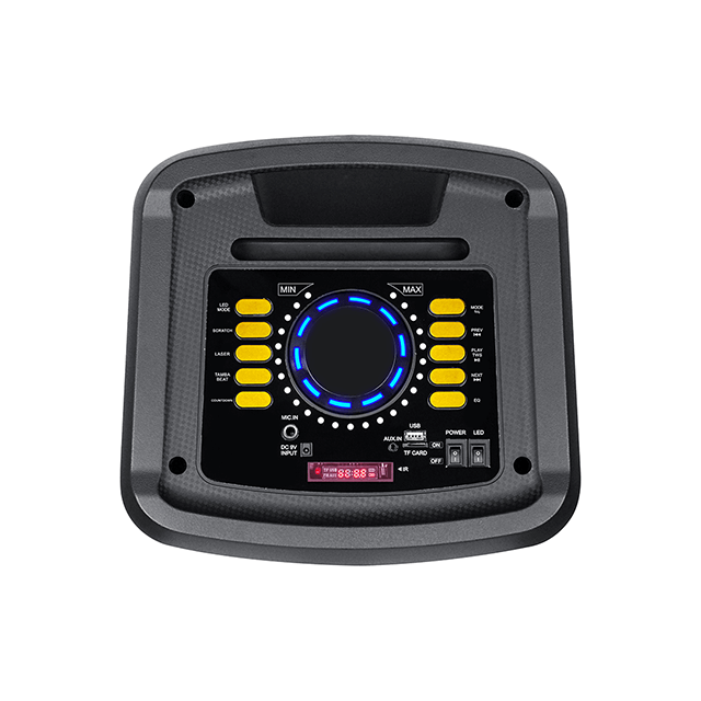 10 Inch Hot Sales Bluetooth Rechargeable Speaker With Party Flame Light