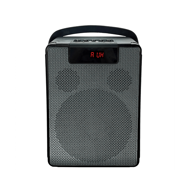 Easy-Carry 8 Inch Portable Bluetooth Rechargeable Speaker