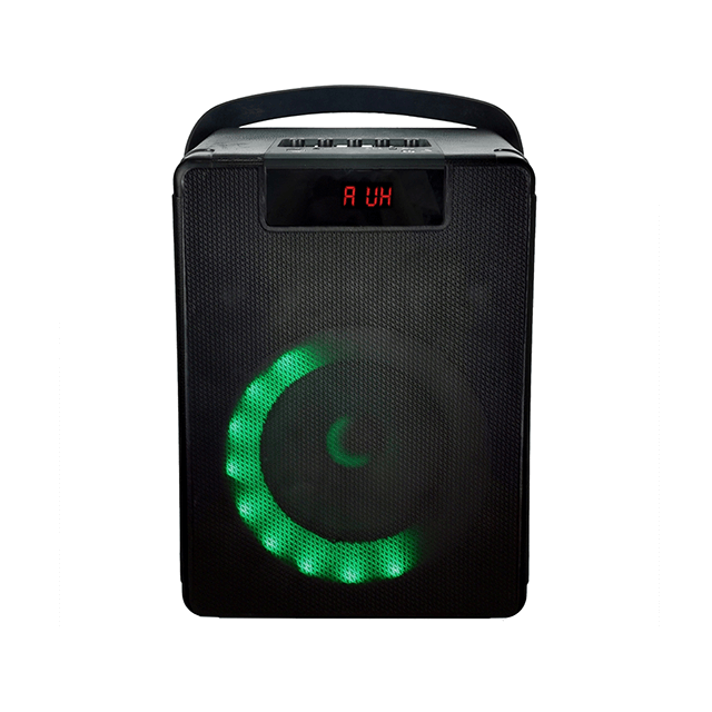 Easy-Carry 8 Inch Portable Bluetooth Rechargeable Speaker With RGB Ring Lights 