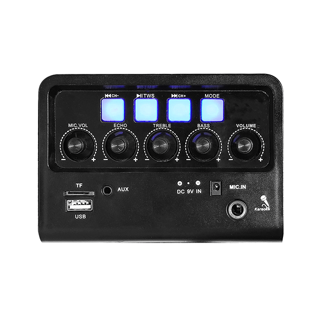 Easy-Carry 8 Inch Portable Bluetooth Rechargeable Speaker