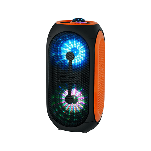 Dual 4 Inch Private Mould Portable Rechargeable Wireless Speaker With RGB Flashing Light