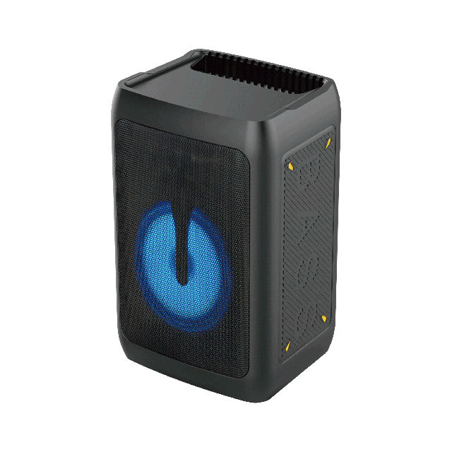 8 Inch Bluetooth Rechargeable Speaker With RGB Flashing Light