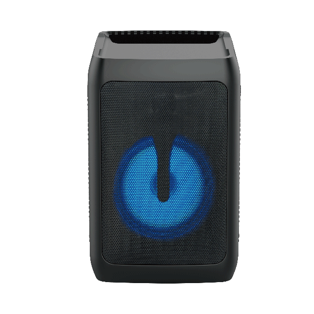 8 Inch Bluetooth Rechargeable Speaker With RGB Flashing Light