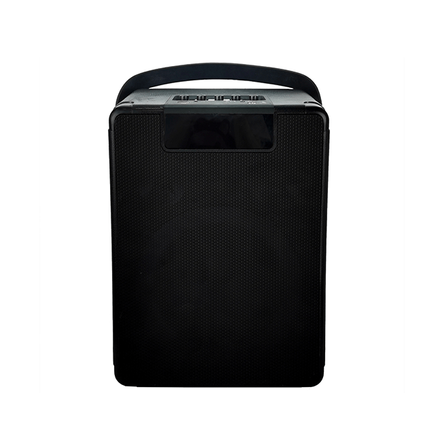 Easy-Carry 8 Inch Portable Bluetooth Rechargeable Speaker With RGB Ring Lights 